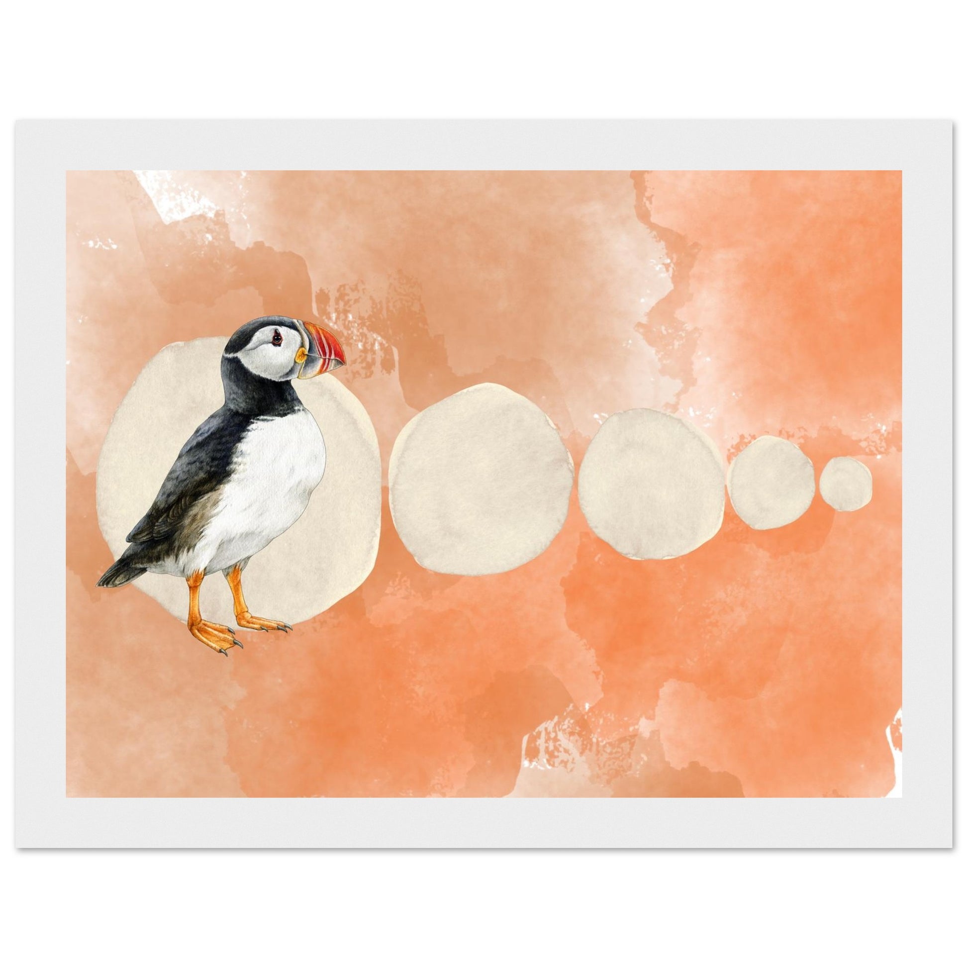 11bcb803-cc1b-4d27-b834-73b5b40e4722