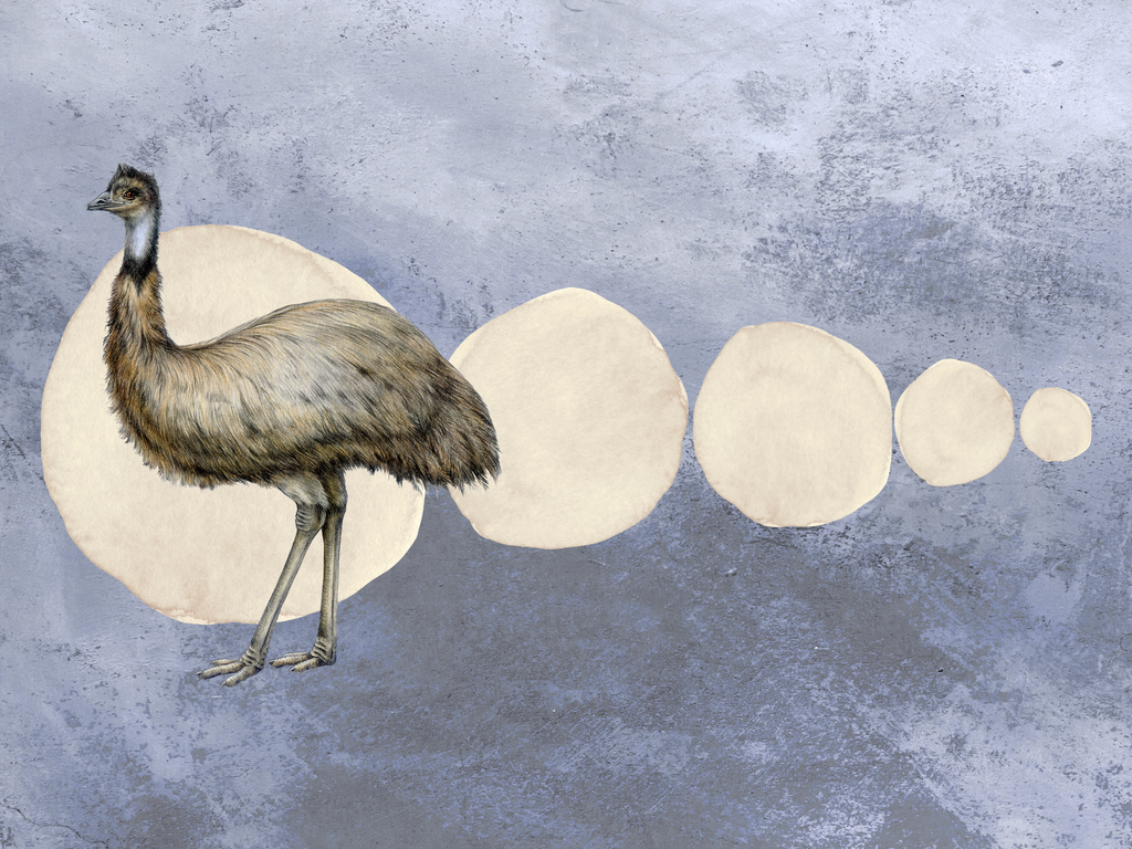 The Pause Between Steps