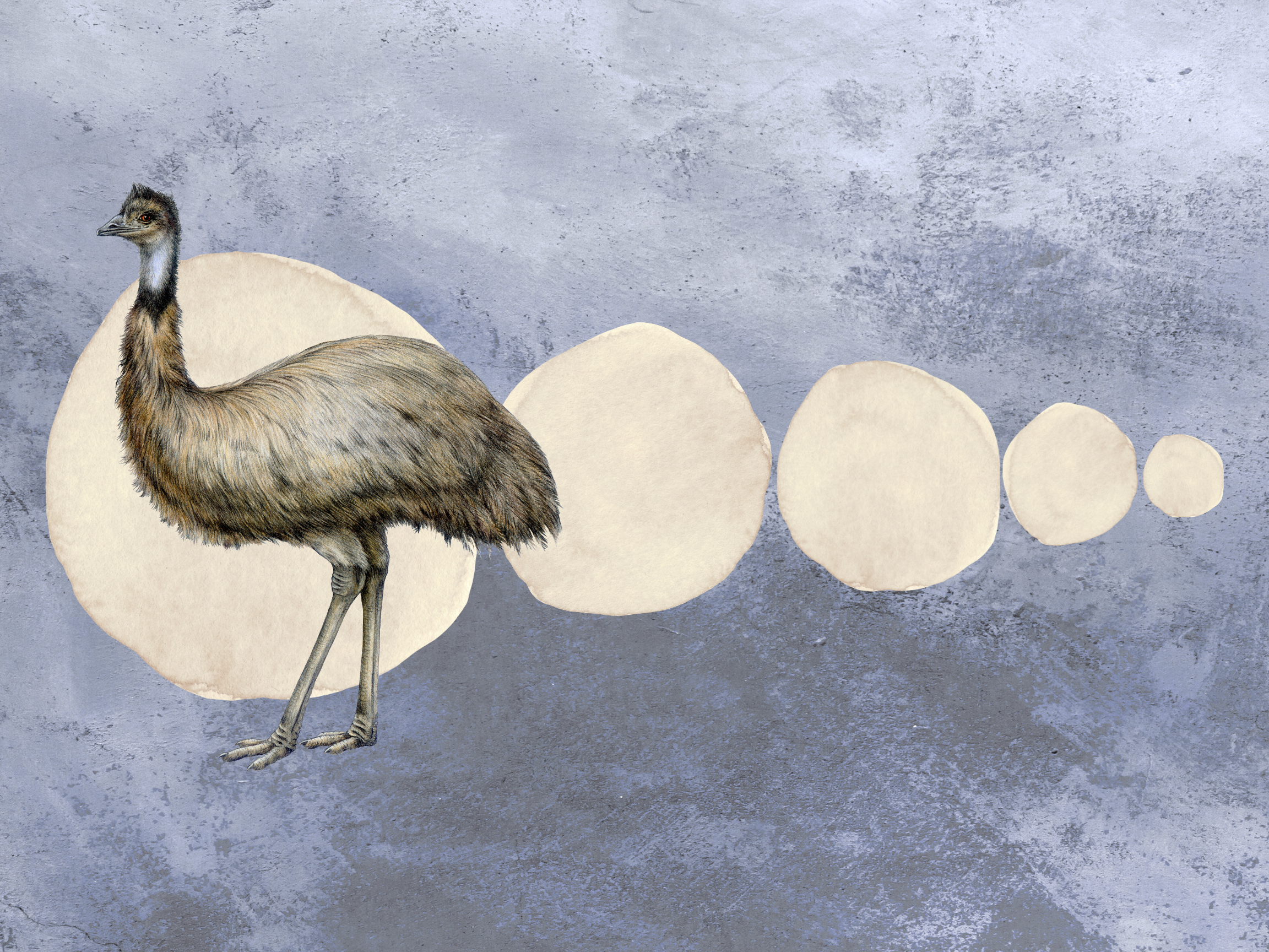 The Pause Between Steps